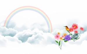 Bird and Rainbow wallpaper thumb