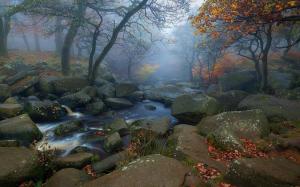 Trees, Fall, Leaves, River, Morning, Mist, Stones, Water, Nature wallpaper thumb