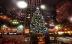 tree, street, city, lights, holiday, christmas, new year wallpaper thumb