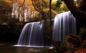 Waterfall In Forest wallpaper thumb