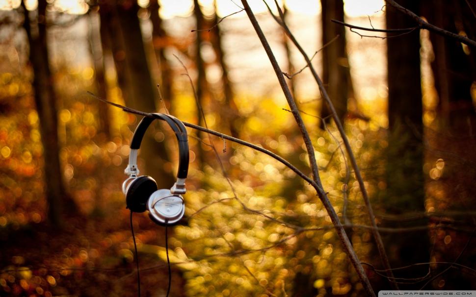 Headphones on a branch wallpaper,photography HD wallpaper,1920x1200 HD wallpaper,Headphone HD wallpaper,branch HD wallpaper,sony HD wallpaper,2880x1800 wallpaper