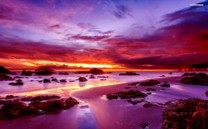 Purple Sunset on Rocky Beach wallpaper thumb