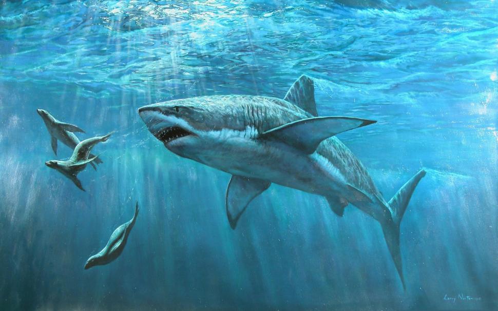 Hunting Shark wallpaper,hunting HD wallpaper,shark HD wallpaper,water HD wallpaper,2880x1800 wallpaper