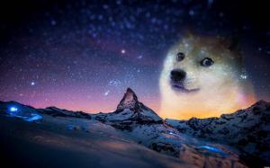 Dog, Mountain, Night, Sky, Stars wallpaper thumb