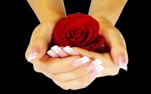 Red Rose For...juliannaa wallpaper thumb