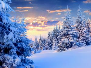 Winter, snow, trees, sky, sunset, nature landscape wallpaper thumb