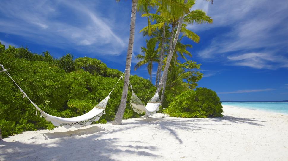 Hammock Tropical Beach Palm Trees HD wallpaper | nature and landscape ...