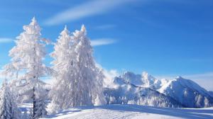 Winter, snow, trees wallpaper thumb