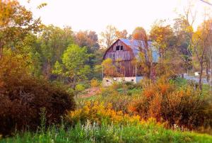 Morning Glow Of Fall In The Country wallpaper thumb