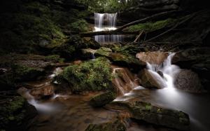 Waterfall Stream Forest Moss Rocks Stones HD wallpaper thumb