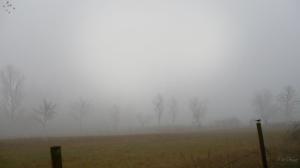 Winter Field Fog wallpaper thumb