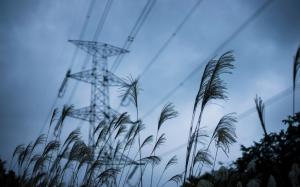 Power lines, sky, grass, dusk wallpaper thumb