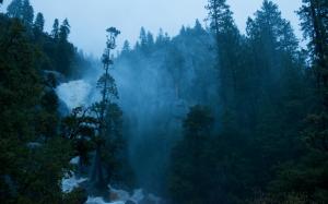 Yosemite Trees Forest Waterfall HD wallpaper thumb