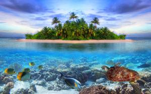 Coast landscape, island, sea, palm trees, fish, turtle wallpaper thumb