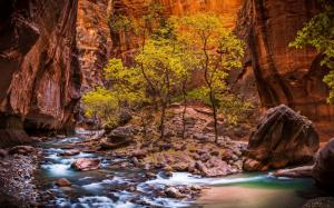 Zion National Park, River, Canyon, Stream, Rock, Valley, Landscape, Nature wallpaper thumb
