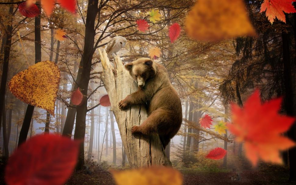 Cute Little Bear Playing wallpaper,bear HD wallpaper,2880x1800 wallpaper