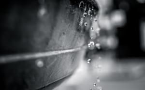 Water Drops Macro BW HD wallpaper thumb