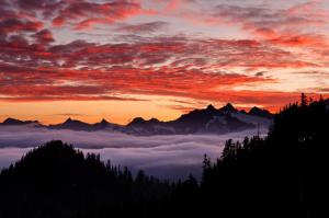 Mountain Forest Sky Fog Clouds Sunset Cool wallpaper thumb