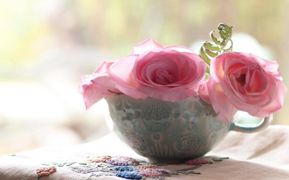 *** Roses In A Cup *** wallpaper,nature HD wallpaper,roses HD wallpaper,pink HD wallpaper,flowers HD wallpaper,nature & landscapes HD wallpaper,1920x1200 wallpaper
