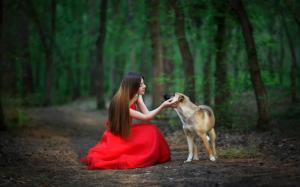 Red dress, forest, girl, dog, scenery wallpaper thumb