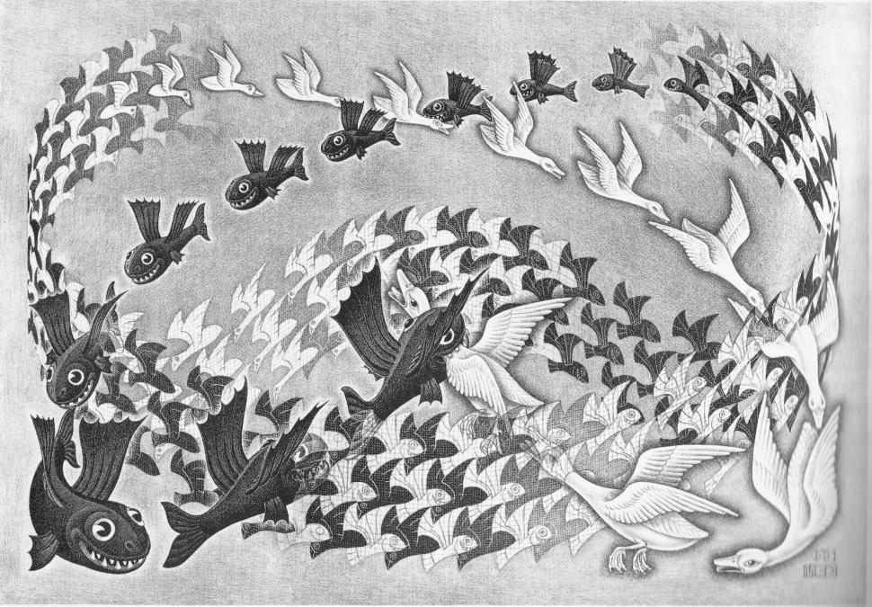 Artwork, M. C. Escher, Monochrome, Psychedelic, Animals, Fish, Bird, Geese, Flying, Lithograph wallpaper,artwork HD wallpaper,m. c. escher HD wallpaper,monochrome HD wallpaper,psychedelic HD wallpaper,animals HD wallpaper,fish HD wallpaper,bird HD wallpaper,geese HD wallpaper,flying HD wallpaper,lithograph HD wallpaper,2407x1676 wallpaper