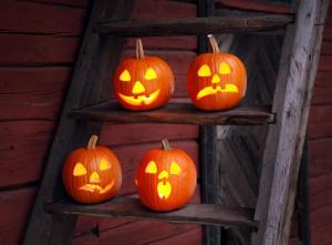 halloween, holiday, pumpkin, ladder wallpaper thumb