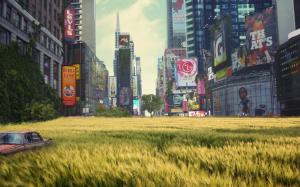The lush grass of Times Square wallpaper thumb