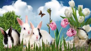 Spring Bunnies wallpaper thumb
