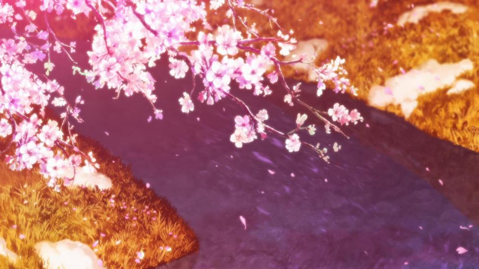Cherry Blossom, Flowers, Painting, Grass wallpaper,cherry blossom HD wallpaper,flowers HD wallpaper,painting HD wallpaper,grass HD wallpaper,1920x1080 wallpaper