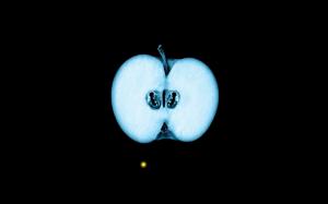 X-ray apple, embryo, creative design wallpaper thumb
