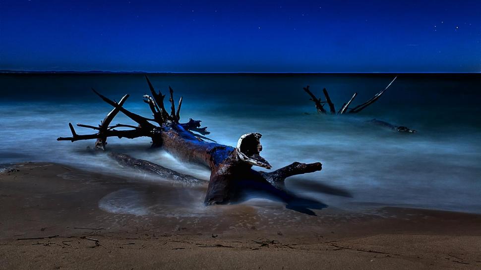 Beached Driftwood On A Starry Night wallpaper,beach HD wallpaper,night HD wallpaper,driftwood HD wallpaper,stars HD wallpaper,nature & landscapes HD wallpaper,1920x1080 wallpaper
