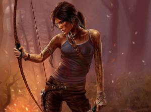 Tomb Raider, Lara Croft, PC game, night, bow wallpaper thumb