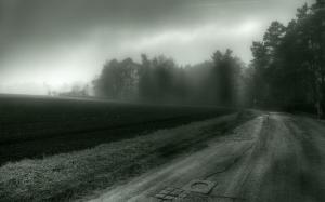 Nature, Road, Mist, Trees, Spooky wallpaper thumb