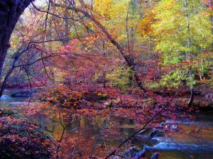 Seasons Autumn Forests Rivers Trees Nature wallpaper thumb