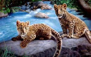 Leopard Cubs wallpaper thumb