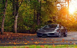Ferrari, Car, Ferrari F430, Leaves, Trees, Sunlight wallpaper thumb