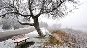 Winter, snow, fog, road, trees, bench wallpaper thumb