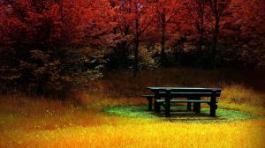 Table Bench In A Red Forest wallpaper thumb