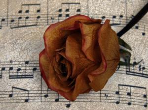 Red Rose On A Score wallpaper thumb