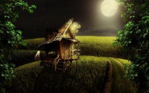 Little wood house in the moonlight wallpaper thumb
