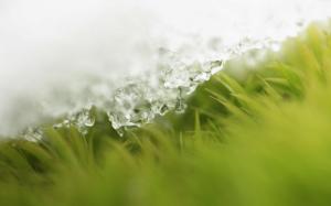Ice melting on grass wallpaper thumb