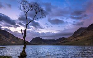 Lonely tree, mountains, lakes, sunset wallpaper thumb