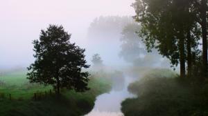 Naturally, in the morning, river, tree, fog, desktop wallpaper thumb