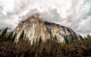 Yosemite Rock Stone Trees Forest Clouds HD wallpaper thumb