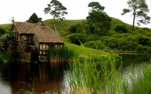 Fresh air and green nature, ponds, huts, grass wallpaper thumb