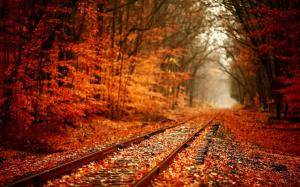 Railroad through the fall woods wallpaper thumb