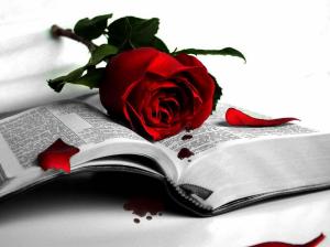 Red Rose And Book  High Resolution Jpeg wallpaper thumb
