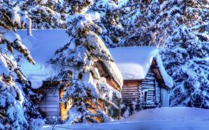 Alaska winter landscape, snow, forest, spruce, huts wallpaper thumb