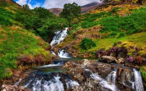 Snowdonia, rocks, river, stream, trees, mountains, grass, flowers wallpaper thumb