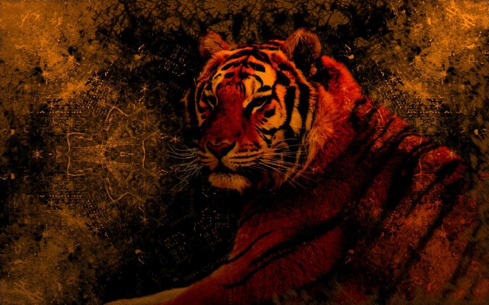 Grungy Tiger wallpaper,beautiful HD wallpaper,tiger HD wallpaper,grungy HD wallpaper,wild HD wallpaper,grunge HD wallpaper,animal HD wallpaper,animals HD wallpaper,1920x1200 wallpaper